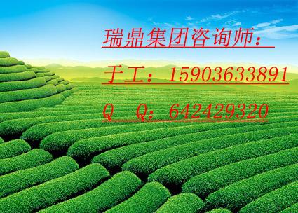 舞鋼市代做投標書可行性研究報告_河南瑞鼎企業管理咨詢有限公司_商國