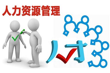 人力資源管理咨詢的服務內容有哪些