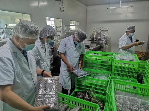 強化食品安全監管 維護市場消費秩序 經開區開展雙節前食品安全專項檢查工作