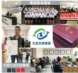 財務代理哪家強 大志天成王中王