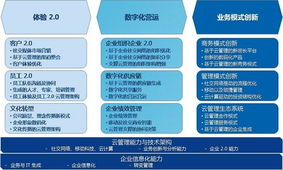 金蝶商業服務沈敏 云管理咨詢助力企業轉型