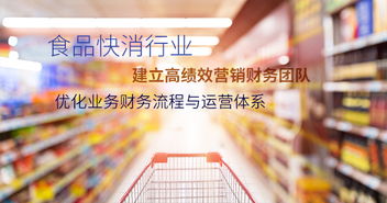 管理咨詢服務 安越專業化定制 咨詢服務 全流程財務咨詢服務提升企業競爭力