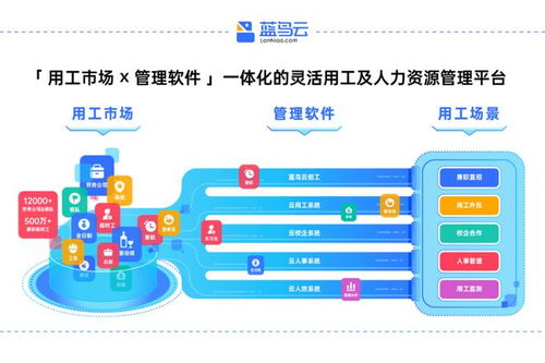 藍(lán)鳥云 智能公休管理 上線,工時風(fēng)險一鍵清零